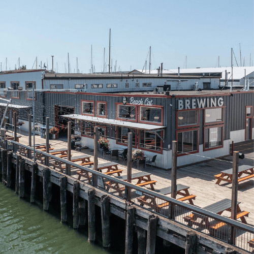 Beach Cat Brewing