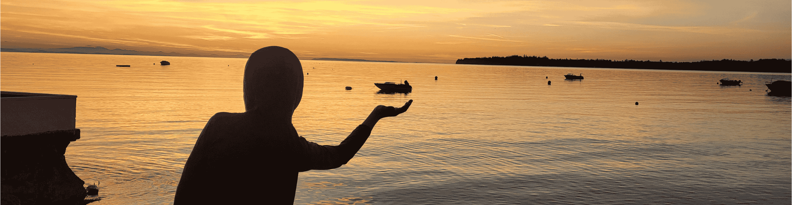 Birch Bay Properties